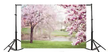 Fotografijos Fonas Pavasario Kraštovaizdžio Rausvos Gėlės Medis