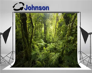 atogrąžų miškų medžių debesis magija fone Aukštos kokybės Kompiuteris spausdinti sienos fotostudijos fono