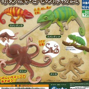 Japonija T-menai Gashapon Kapsulė Žaislas Chameleonas Ir Aštuonkojai Padarai Iliustracija Nuostabus Gamtininkas Zhi