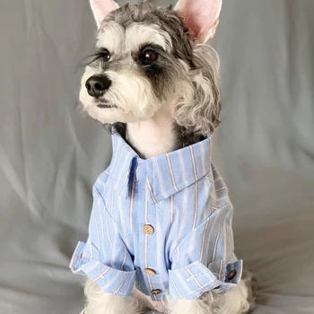 Japonų Stiliaus Boyfriend Shirt Rudenį Teddy Šuniuką Šunų Drabužių Aukso Priimti Dideli Šunys Palaidinė Naminių Kačių Habiliment Paltai