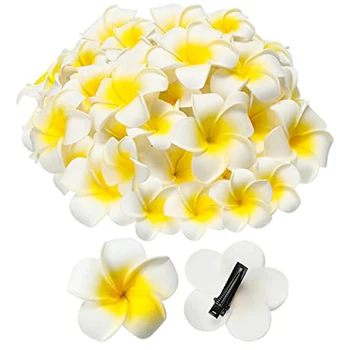 36pcs/ Dirbtinės Plumeria Gėlių Skrybėlę, Plaukų Įrašų Baltos Putos Havajų Frangipani Atogrąžų Staigius už Luau Beach Party Vestuvių
