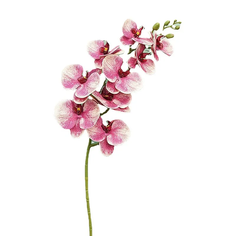 Klasikinis Big Branch 9 Vadovai 98cm 3D Spausdinimo Phalaenopsis Dirbtinė Orchidėja Vestuvių Rekvizitai Namų Dekoro Gėlių